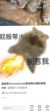 作者