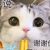 万能人物