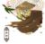 唐明