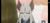 元