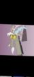 无序