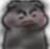 作者
