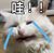 作者