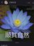 祁添（祁言父亲）
