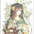 芙蓉