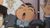 小岛元太