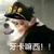 狗之替身