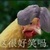黑子指導(dǎo)員