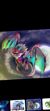 音波龙