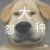体育老师