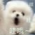 爷爷