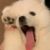 萬能
