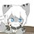 虎纹猫鲨