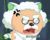 慢猫猫