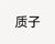 北国质子