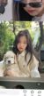 金珍妮Jennie