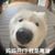 季向薇