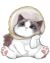 鱼猫