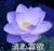 醫(yī)院主任