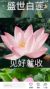 陈一铭
