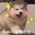 作者