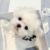 hiiiiii（作者