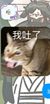 青楼老板娘