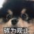 系统（金碳）