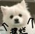 作者