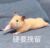 苏小贝