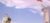 姜妈
