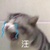 宅博士