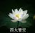 韓鵬