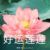 胡乐妈