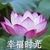 米嘯風(fēng)