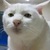 旁白乱入