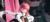 夏音