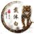 戴沐白