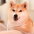 小Q