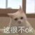 其他人