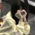 女主闺蜜