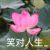 白母