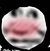 作者