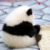 系统熊猫