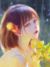 薔薇