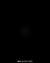 万物皆是我