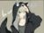 死灵骑士