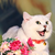 玖晗（猫咪形态）