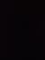 隊長