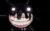 Screech